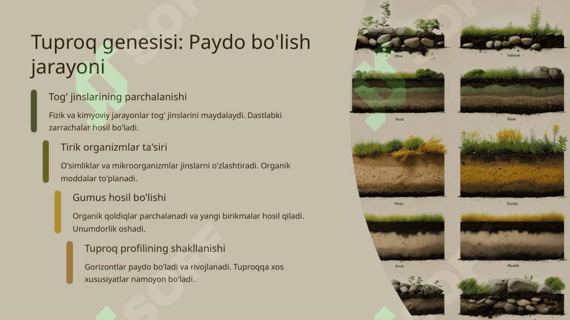 Tuproq va uning tabiiy xususiyatlari 8