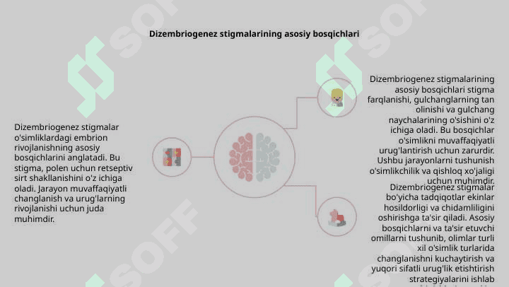 Dizembriogenez stigmalar 3