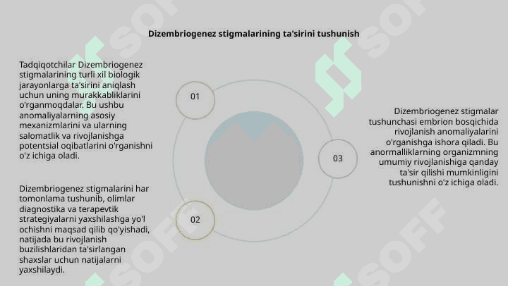 Dizembriogenez stigmalar 4