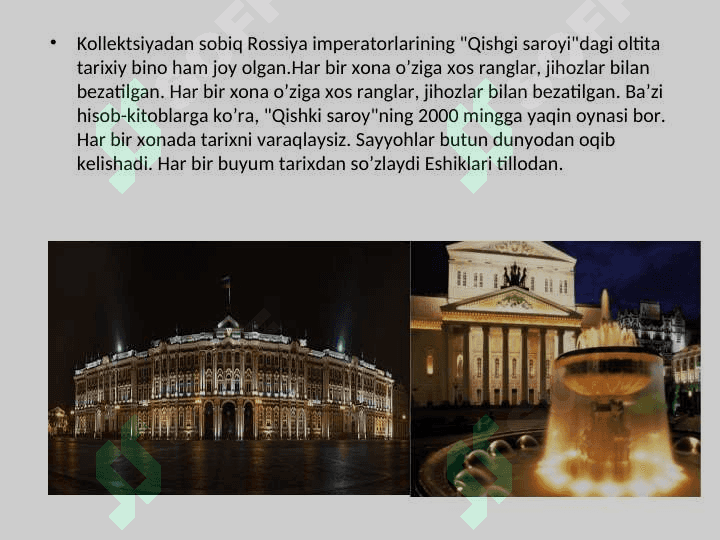 Rossiya Davlat muzeylari 5