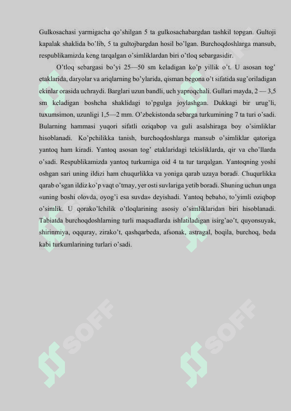 Burchoqdoshlar oilasi.docx 4