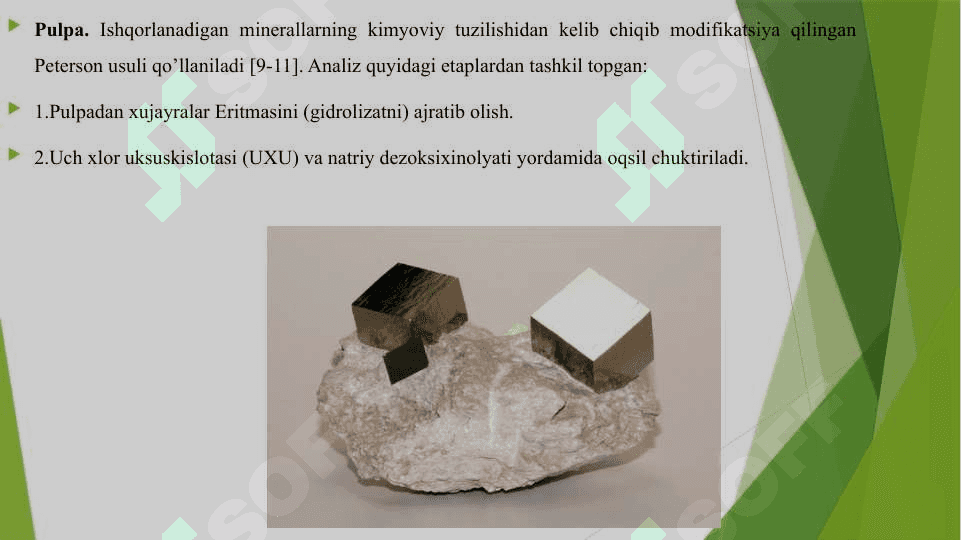 TEMIR VA OLTINGUGURT OKSIDLOVCHI ATSIDOFIL BAKTERIYALAR ASSOTSIYAATSIYASINING OQSIL BUYICHA BIOMASSASINI ANIQLASH 3