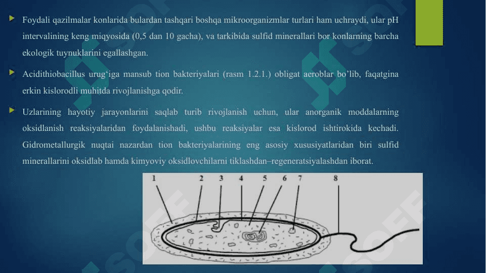 MIKROJONZOTLAR, ULARNING TURLARI VA QO‘LLANILISH SOHALARI 3