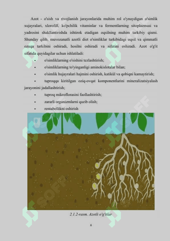 Azotni o’simlik hayotida tutgan o’rni..docx 6