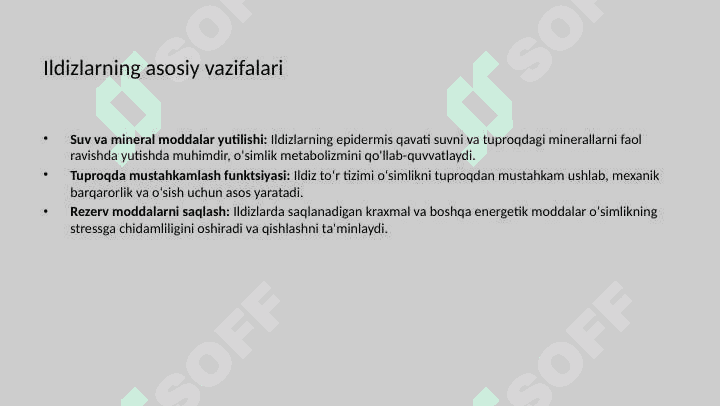 Shakli o'zgargan ildizlarning tuzilishi 4