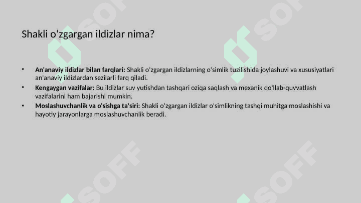 Shakli o'zgargan ildizlarning tuzilishi 5