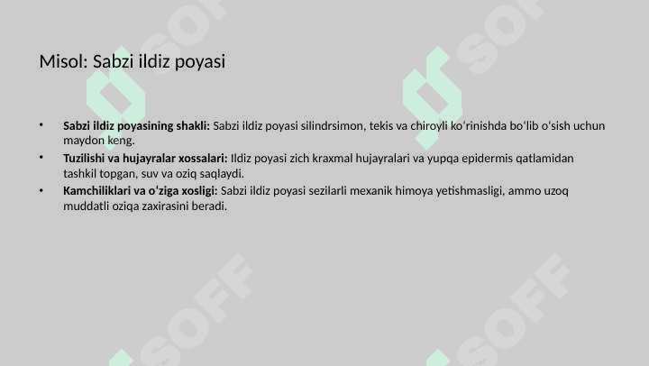 Shakli o'zgargan ildizlarning tuzilishi 8