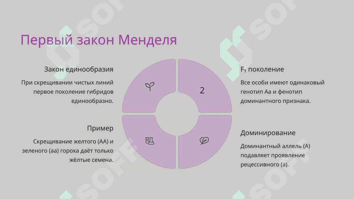 Моногибридное скрещивание. Взаимодействие аллельных генов, полилеллизм 4