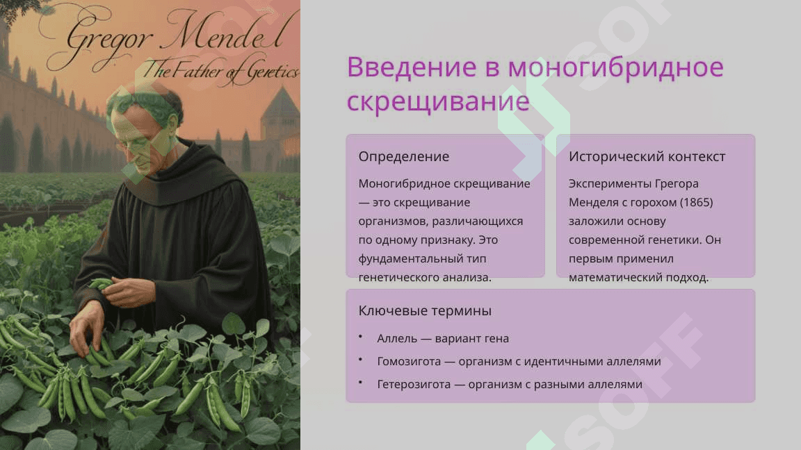 Моногибридное скрещивание. Взаимодействие аллельных генов, полилеллизм 2
