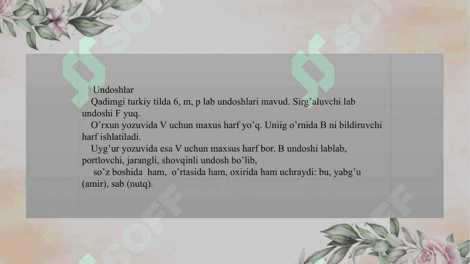 Qadimgi turkiy tilarda undoshlar 4