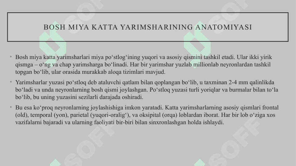 Bosh miya katta yarimsharlari 3