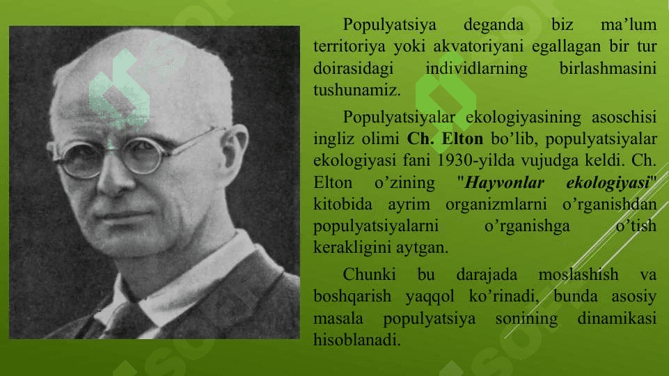 Populyatsiya 2