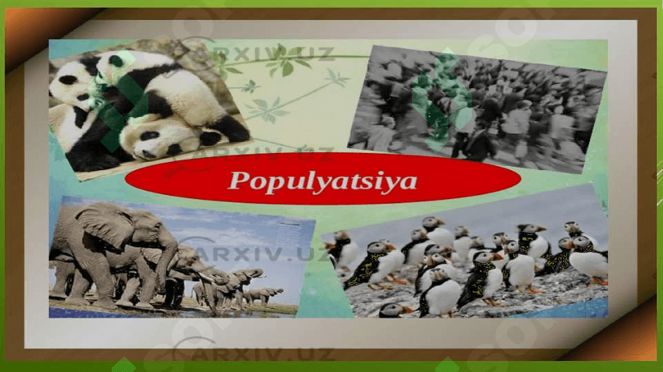 Populyatsiya 3