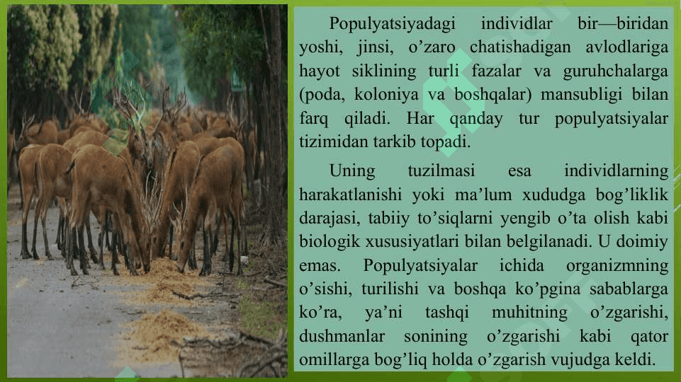 Populyatsiya 7