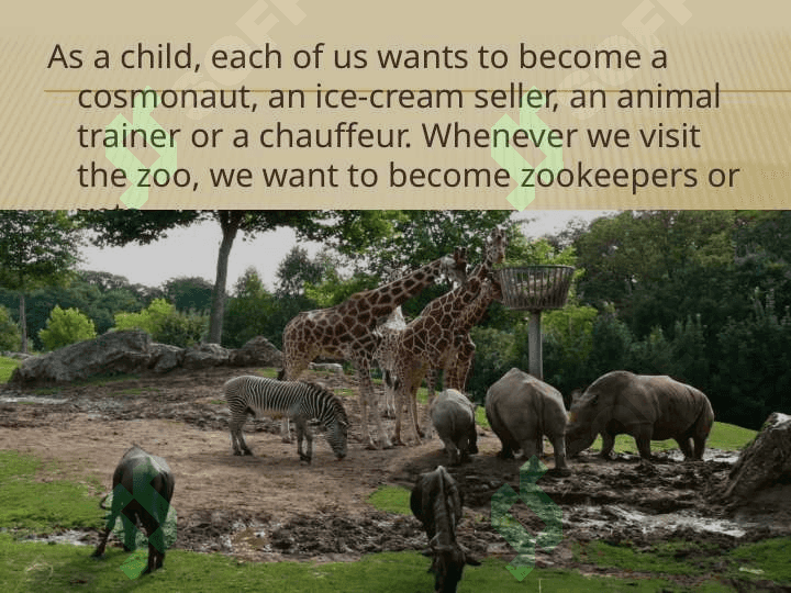 My dream job 2