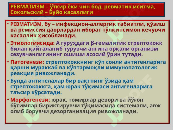 REVMATIZM 3