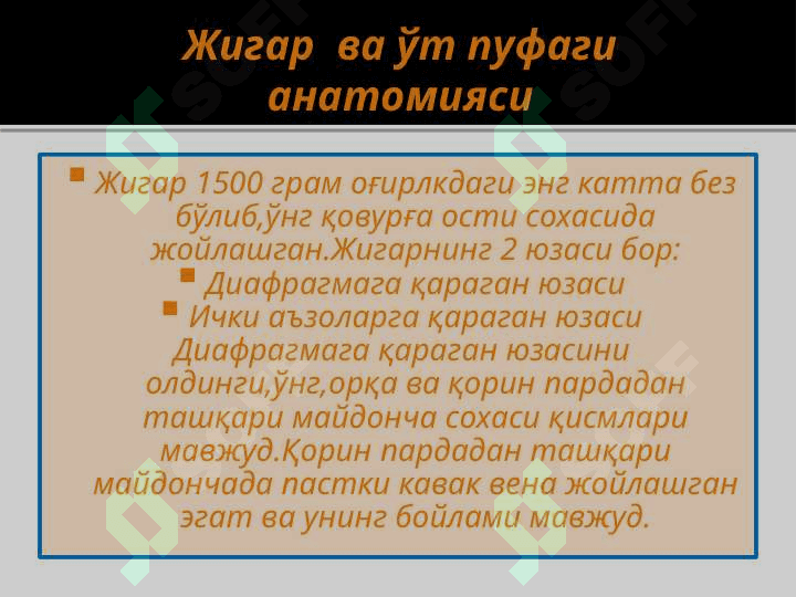 JIGAR VA TALOQ ANATOMIYASI 2