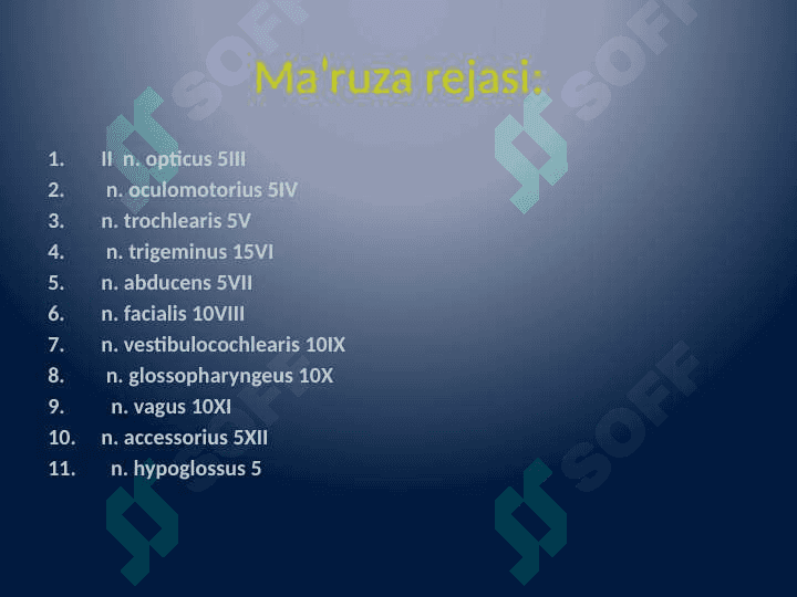 Bosh miya juft nervlarining funktsional anatomiyasi 3