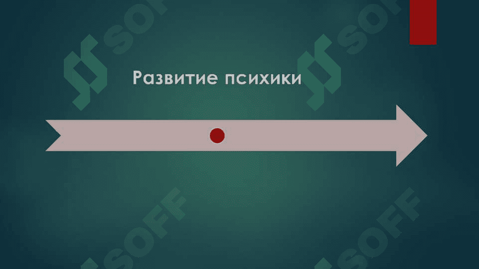 Развитие психики 2