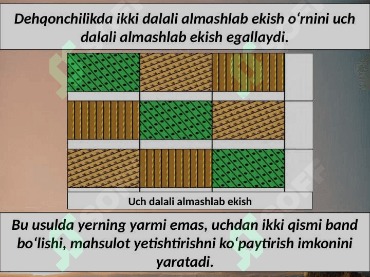 Yevropada o‘rta asr shaharlari O‘rta asr shaharlari 3