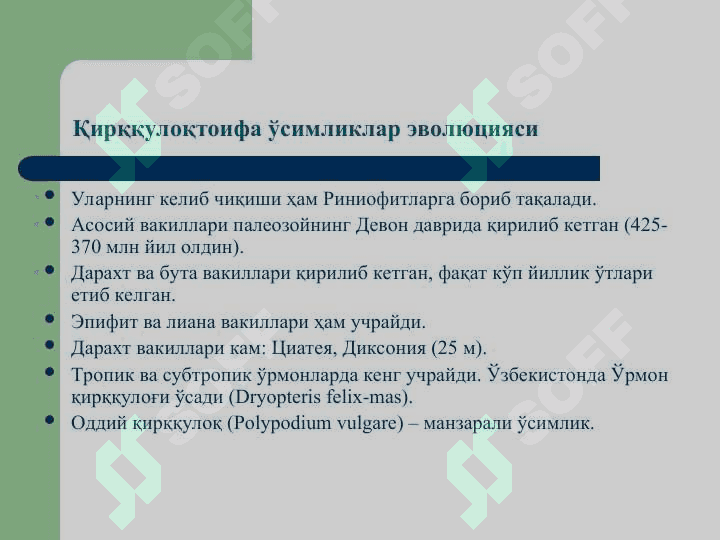 Қирққулоқтоифа ўсимликлар (Polypodiophyta) бўлими(презентация) 3