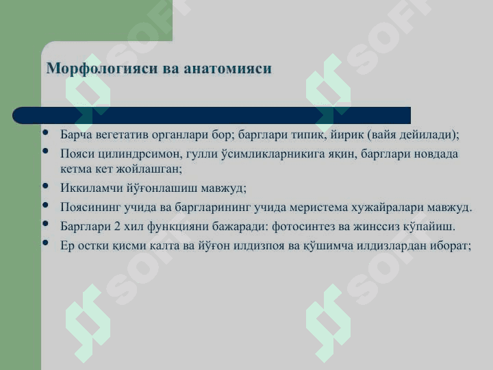 Қирққулоқтоифа ўсимликлар (Polypodiophyta) бўлими(презентация) 4