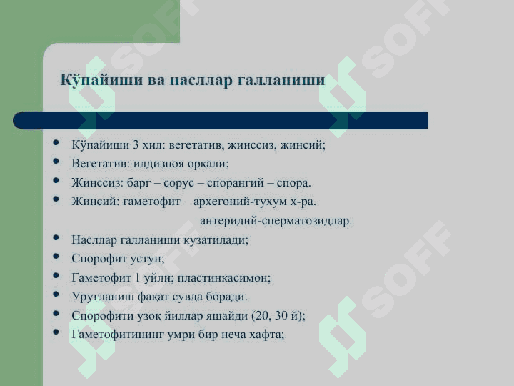 Қирққулоқтоифа ўсимликлар (Polypodiophyta) бўлими(презентация) 6