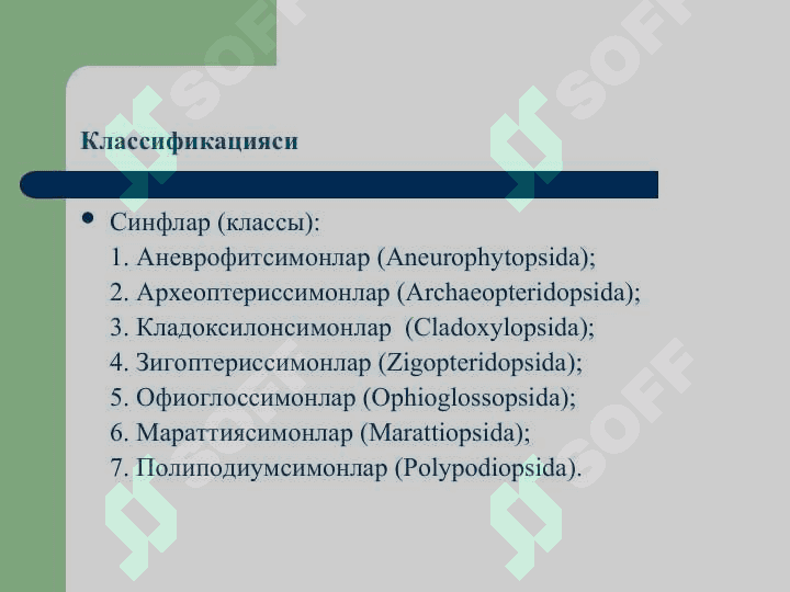 Қирққулоқтоифа ўсимликлар (Polypodiophyta) бўлими(презентация) 8