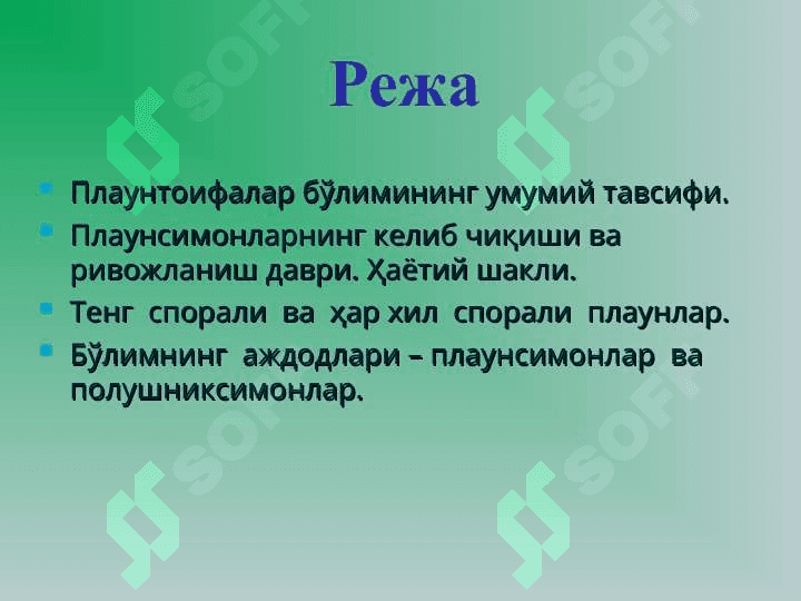 Плаунтоифа (Lycopodiophyta) ўсимликлар 2