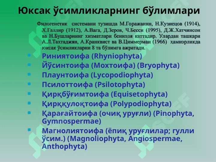 Юксак усимликлар: Йусинтоифалар (Bryophyta) булими 3