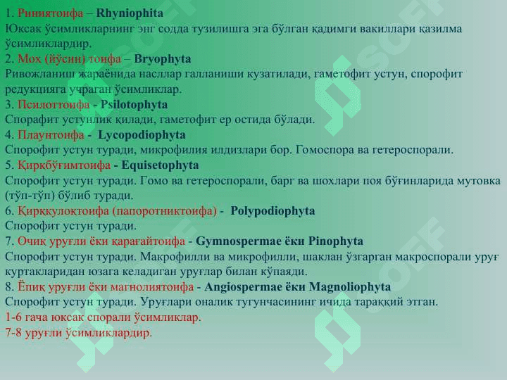 Юксак усимликлар: Йусинтоифалар (Bryophyta) булими 4