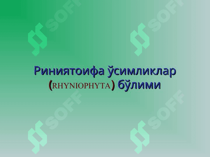 Юксак усимликлар: Йусинтоифалар (Bryophyta) булими 7