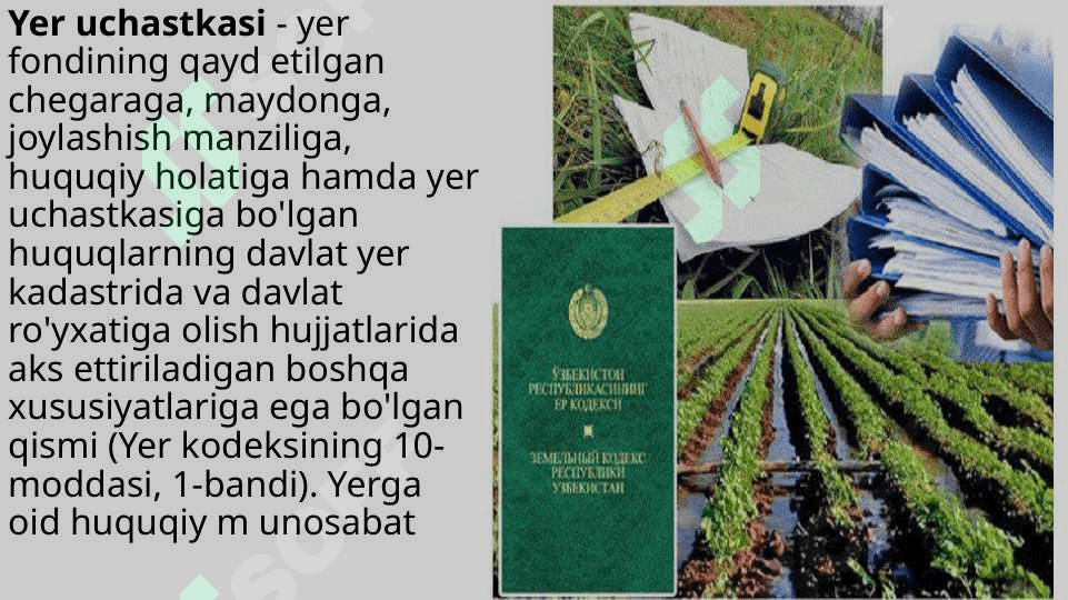 Yer kodeksi 4