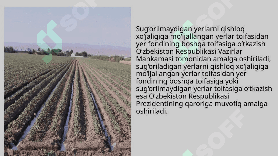 Yer kodeksi 7