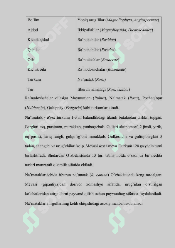 Ra'nodoshlar oilasi 4