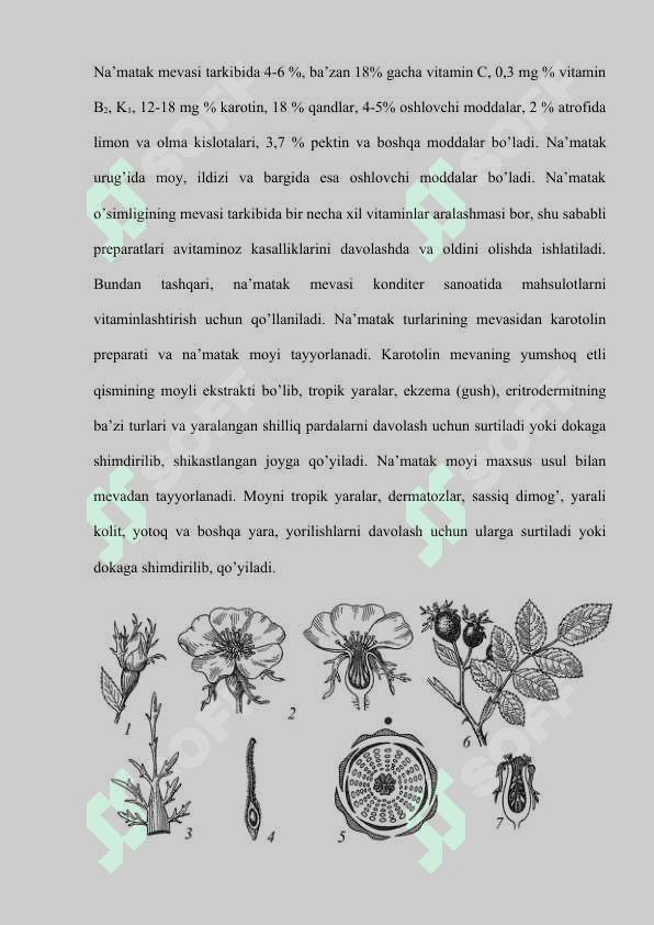 Ra'nodoshlar oilasi 5