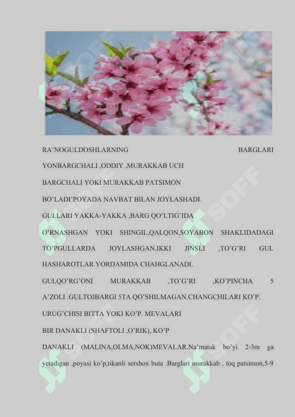 Ra'nodoshlar oilasi 7