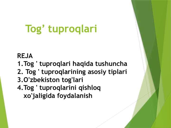 Tog’ tuproqlari