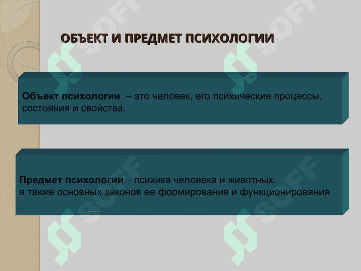 Основные понятия психологии 4
