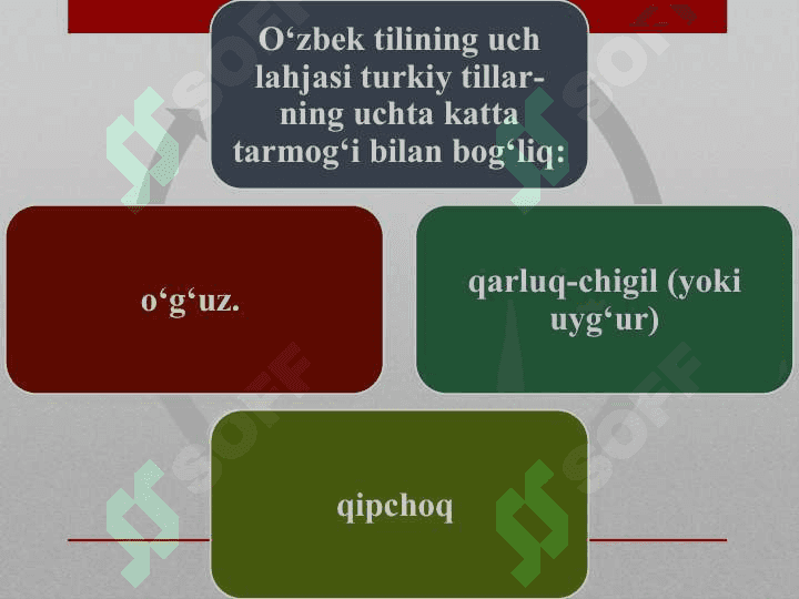 SURXONDARYO QIPCHOQ SHEVASI 2