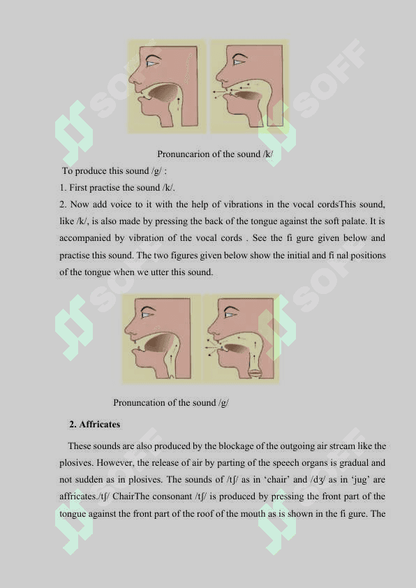 CONSONANT SOUNDS IN THE  SPOKEN LANGUAGE 8
