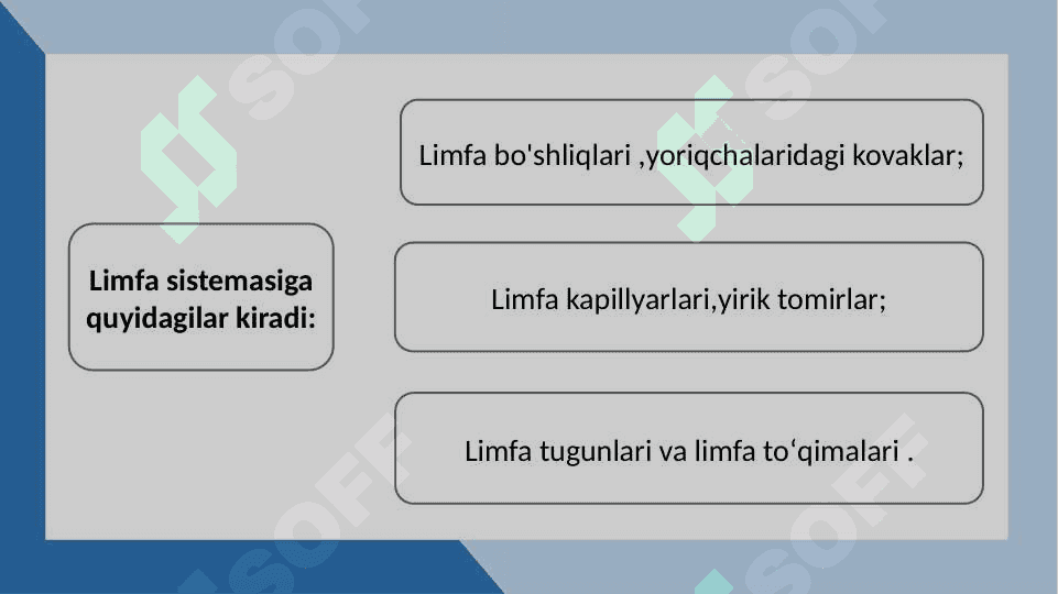 MAVZU:LIMFA TIZIMINING ANATOMIK TUZILISHI. 2