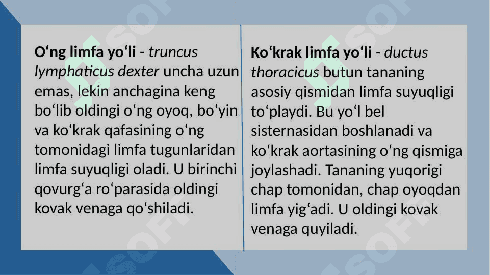 MAVZU:LIMFA TIZIMINING ANATOMIK TUZILISHI. 8