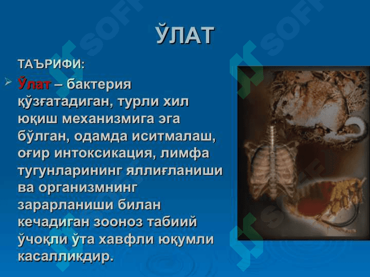 o`lat pptx 2