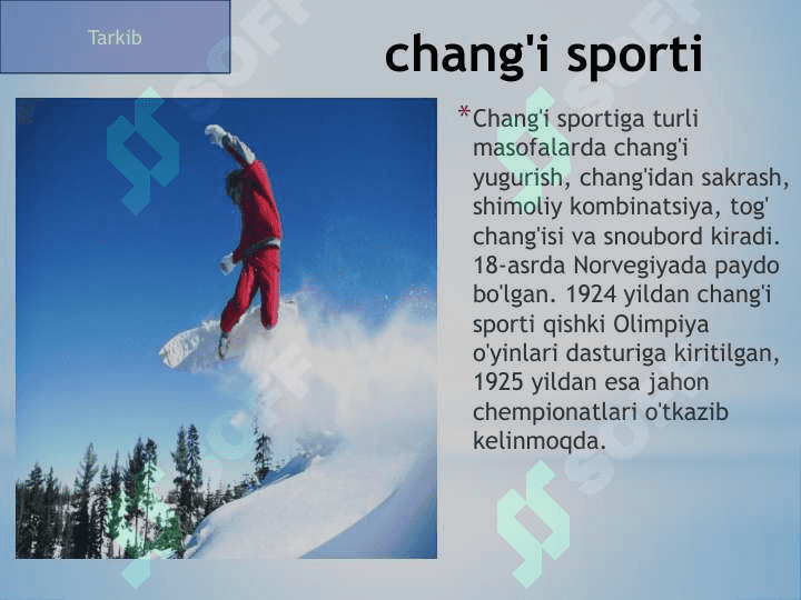Qishki sport turlari 2