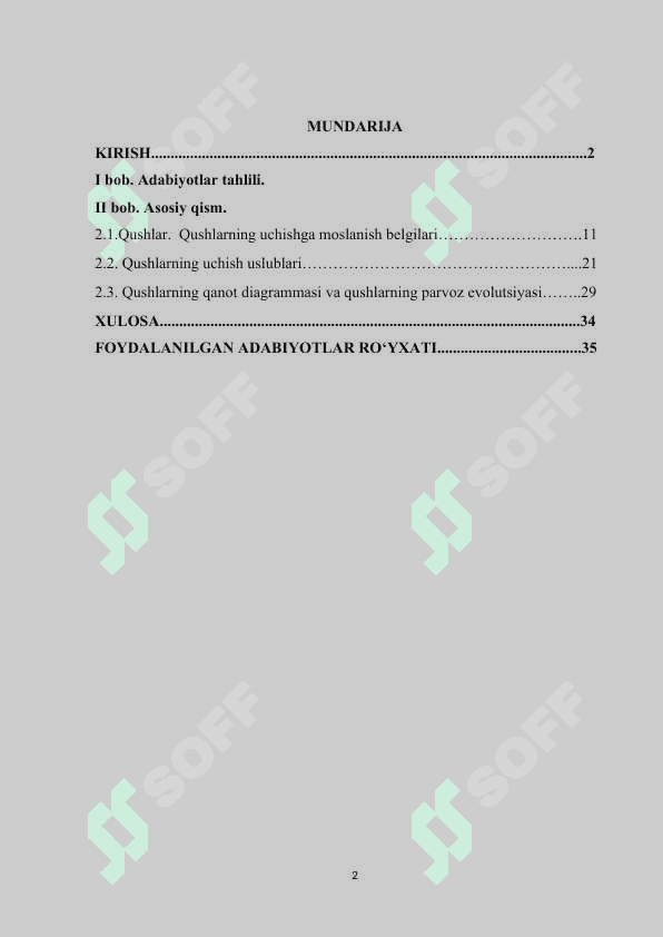 Qushlarning uchishga moslanish belgilari, uchish xillari 2
