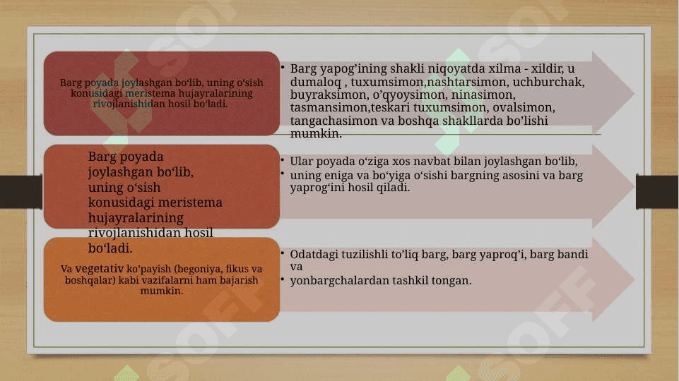 Bargning tuzilishi (morfologik, anatomik). 3