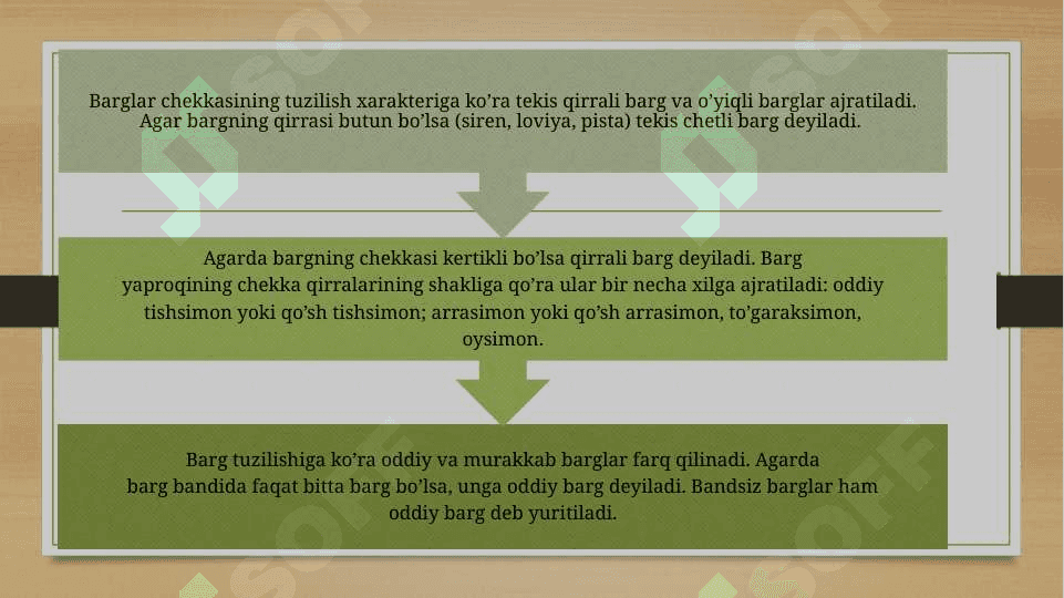 Bargning tuzilishi (morfologik, anatomik). 4
