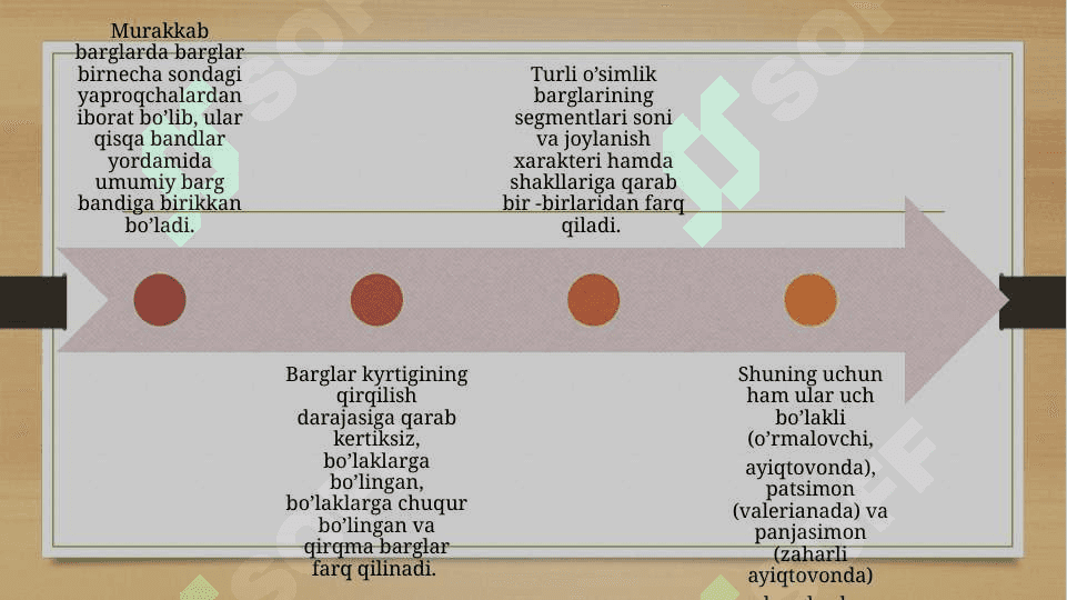 Bargning tuzilishi (morfologik, anatomik). 5