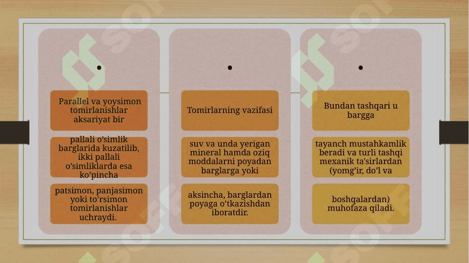 Bargning tuzilishi (morfologik, anatomik). 7